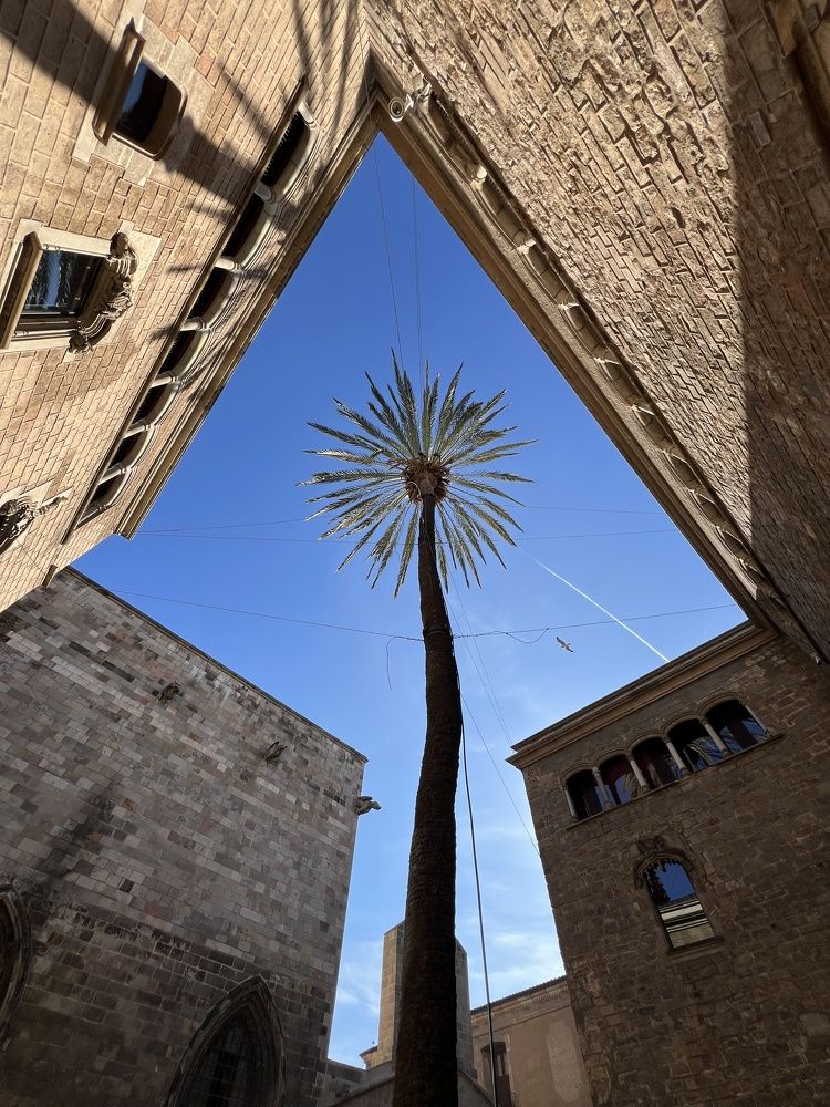 Photograph by Валерия