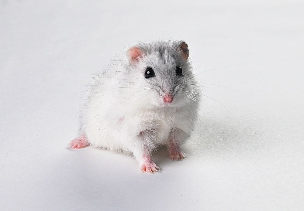 Photograph by Алексей Козлов