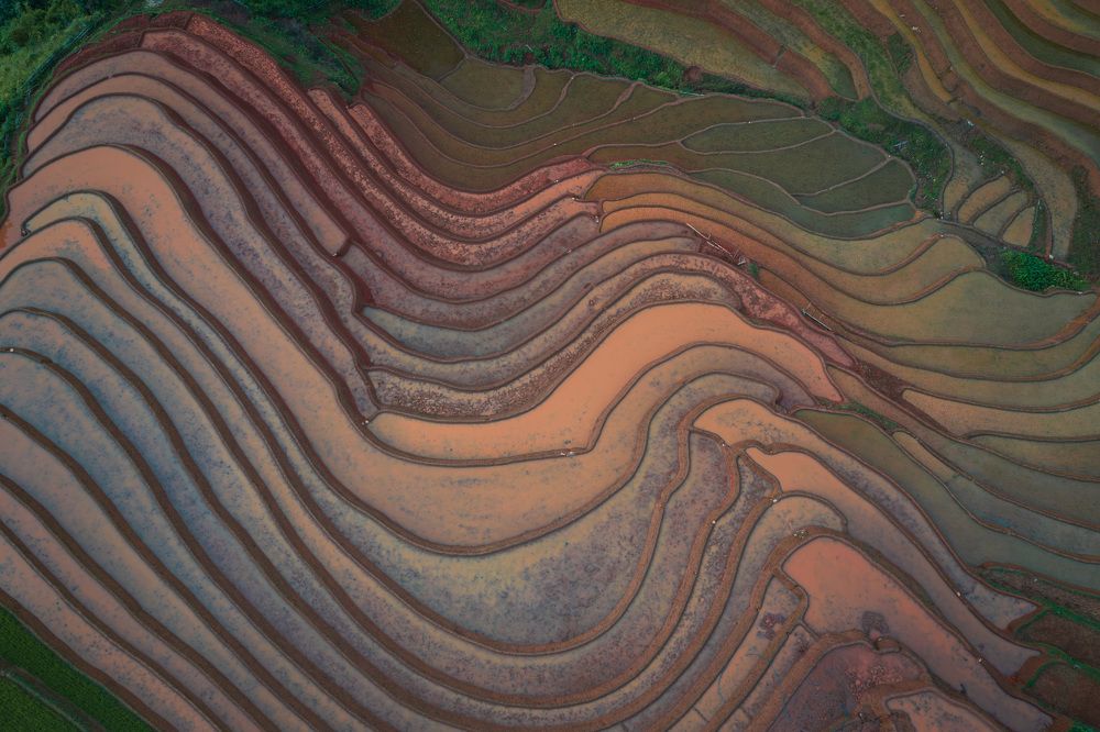 Photograph by Hanh P. T. Pham