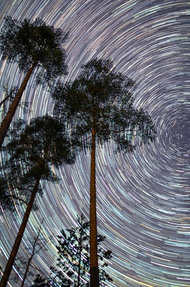 Photograph by Oksana Kuzmina