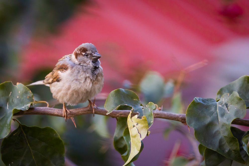 Photograph by Antonis Papaconstantinou