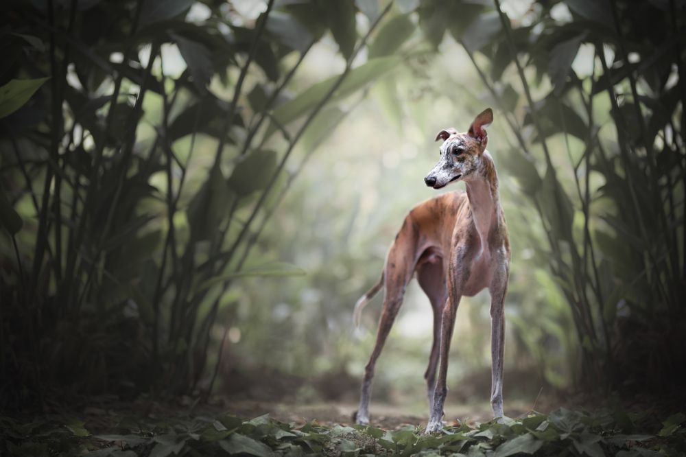 Фотография автора Ana Sánchez