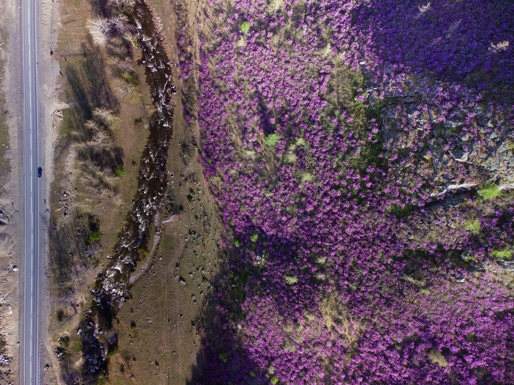 Мир! Май! Онгудай!