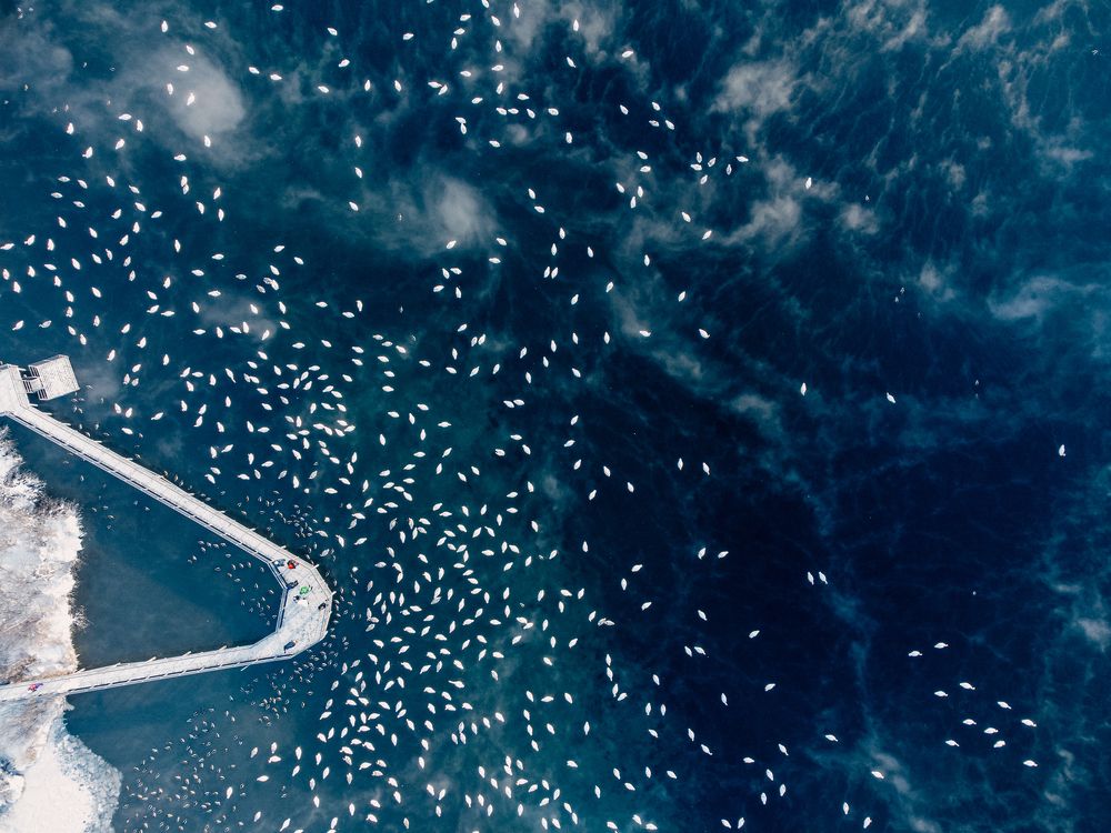 Photograph by Сергей Дериглазов