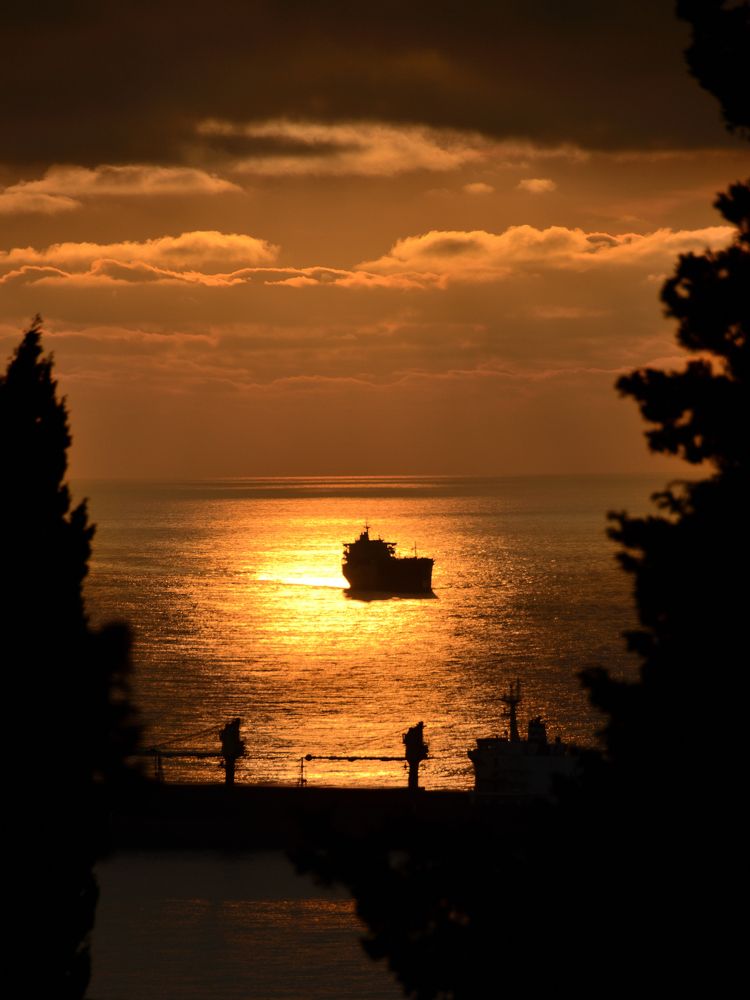 Фотография автора Aleksei Batiukov