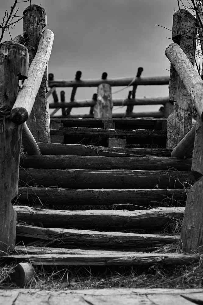 Photograph by Куликов Александр