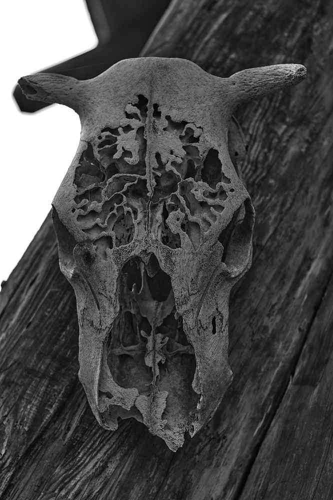 Photograph by Куликов Александр