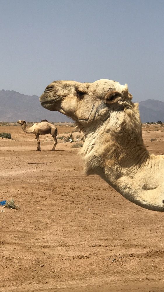 Photograph by Мария Берёзка