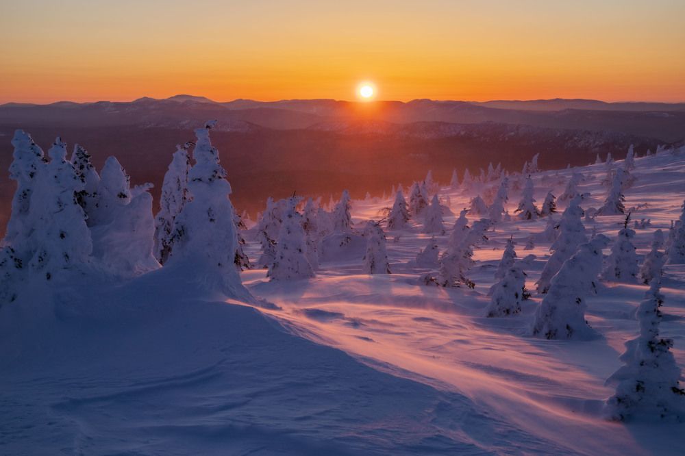 Photograph by Елена Перминова