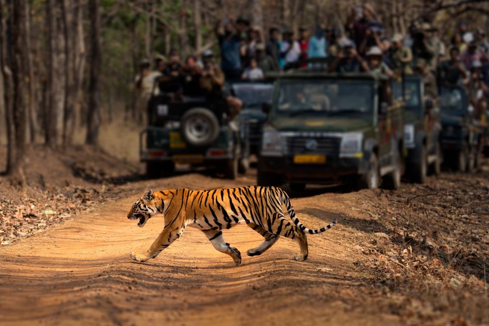 Photograph by Swarup Roy Chowdhury