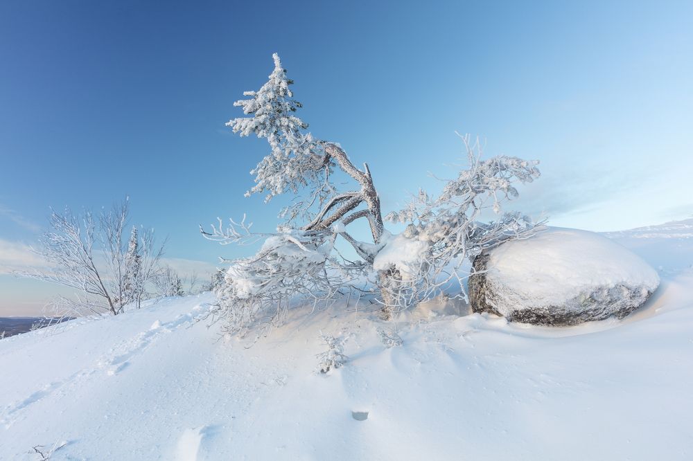 Фотография автора Губань Виктор