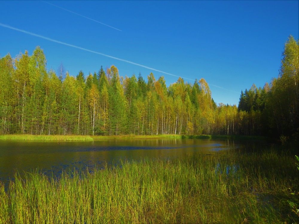 Photograph by Людмила Кононова