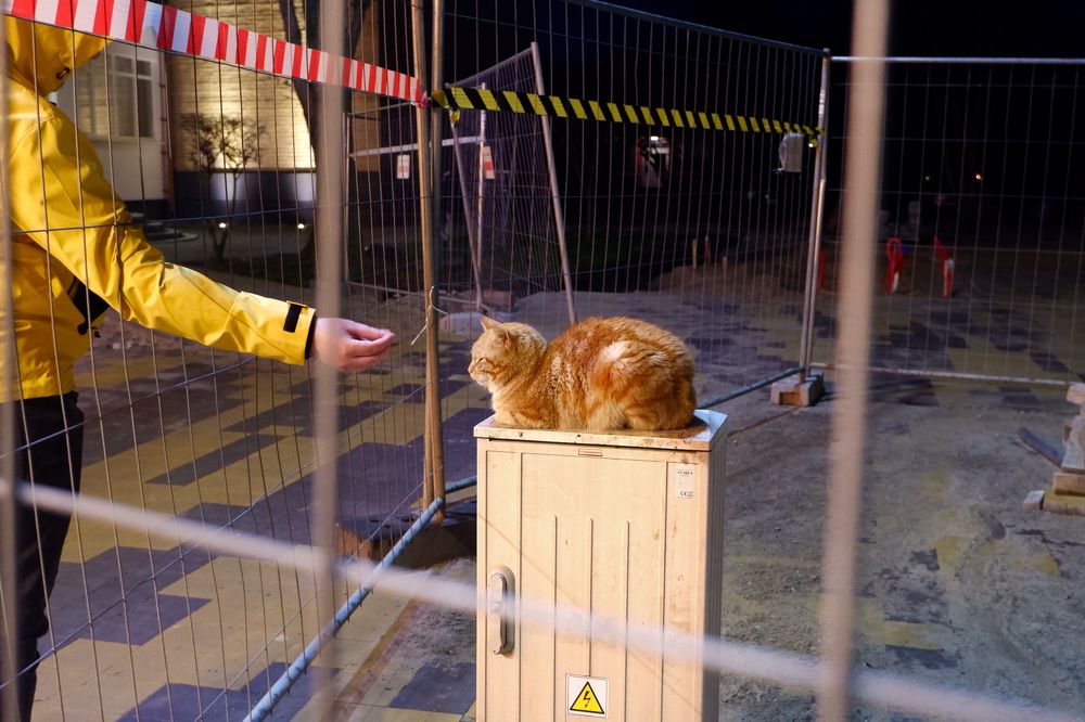 Photograph by Мария Покотилова