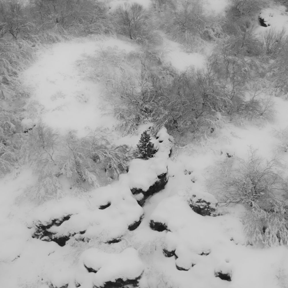 Фотография автора Ruslan Stepanov