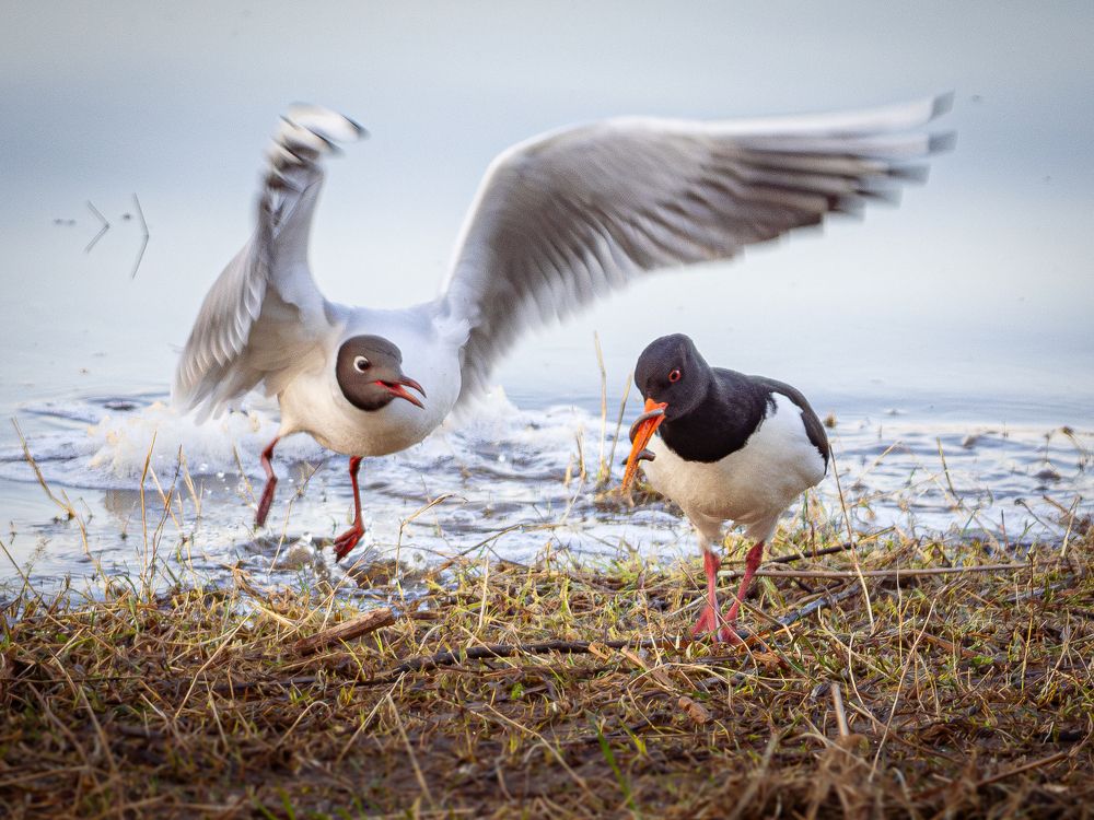 Фотография автора Артур Богородицкий