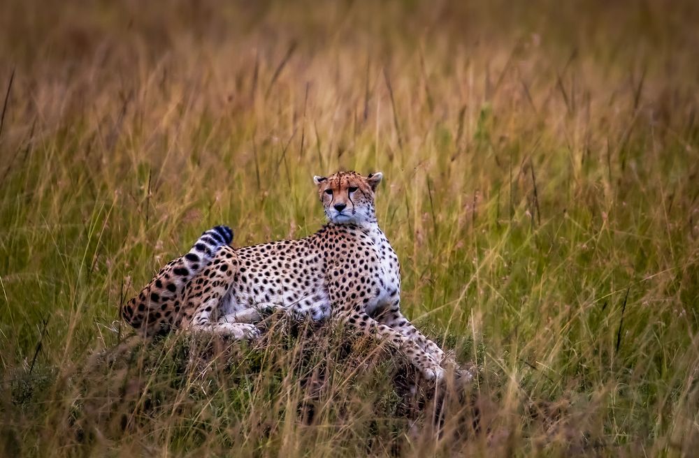 Photograph by Vita Potomova