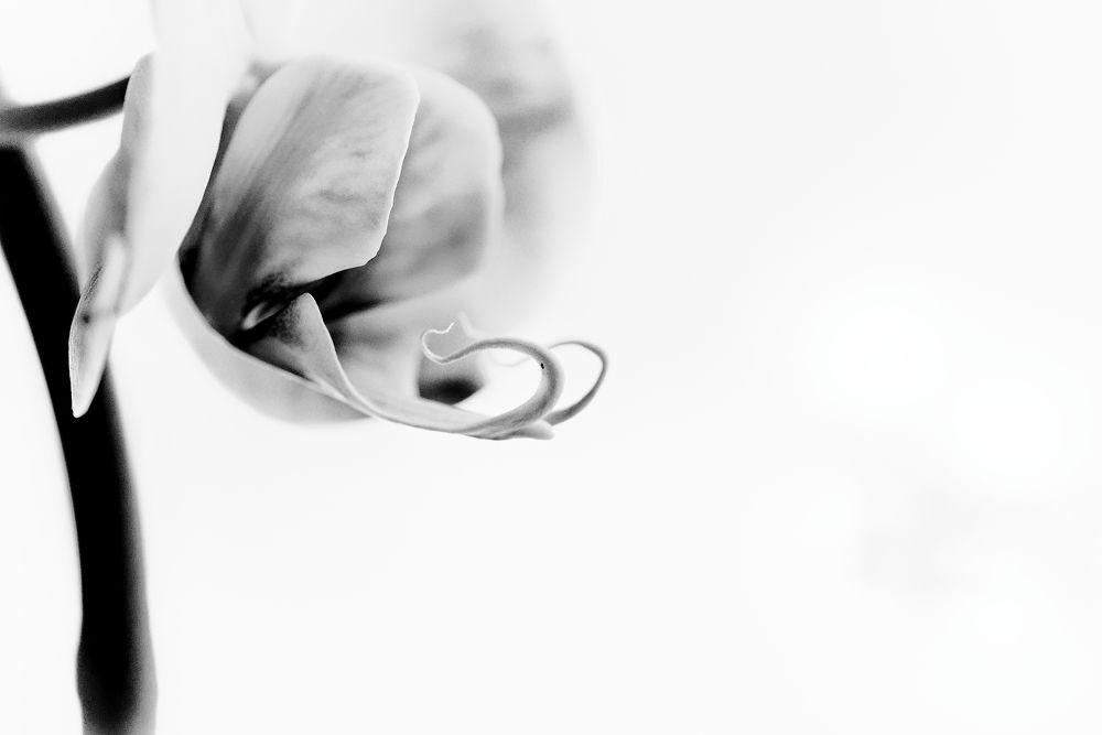 Photograph by Aleksei Degtjarjov