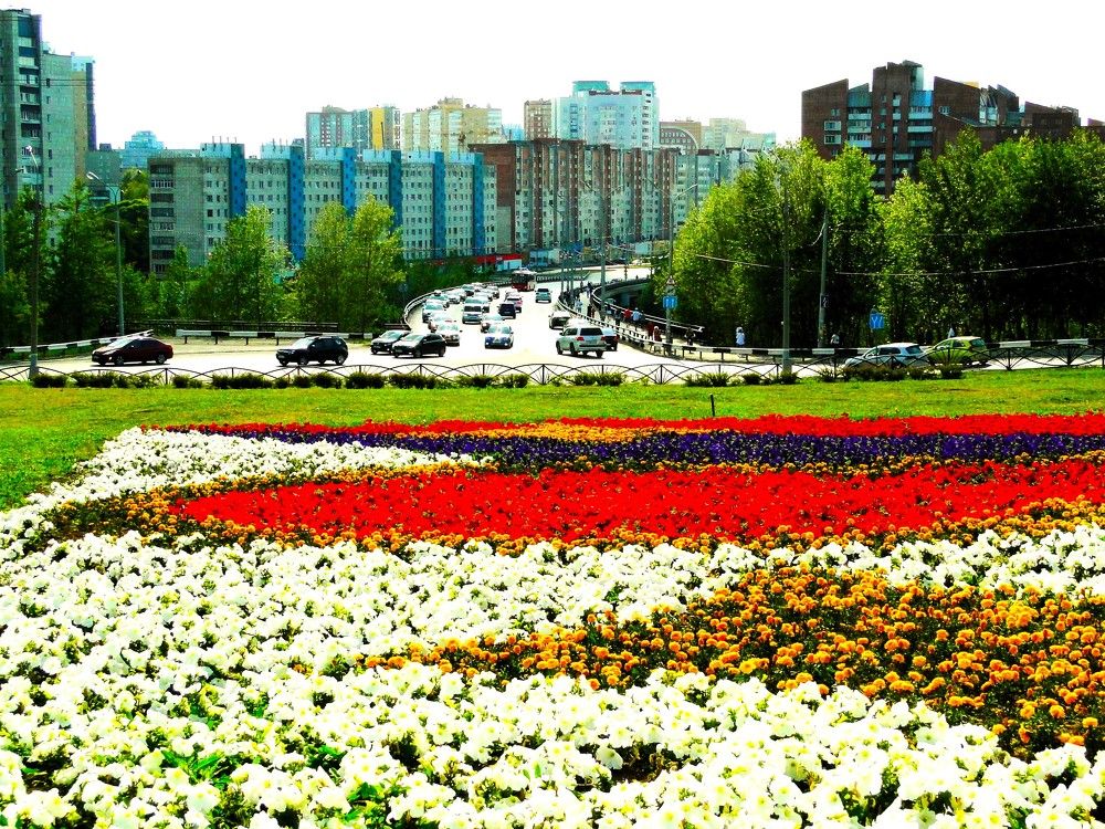 Панорама города в цветах. Мост средней дамбы