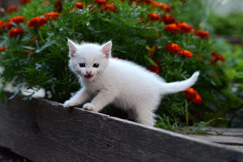 Photograph by Юлия Козельских