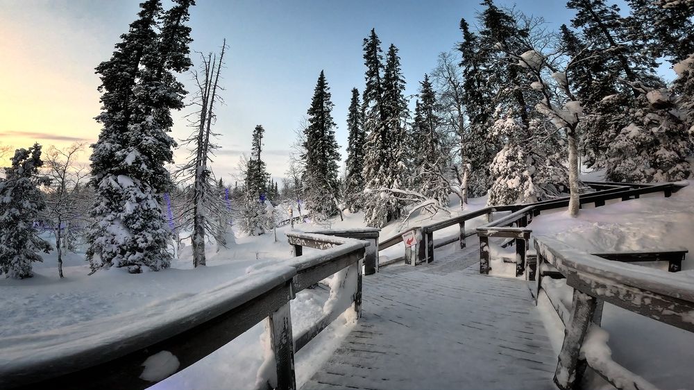 Photograph by Алексей Никонов