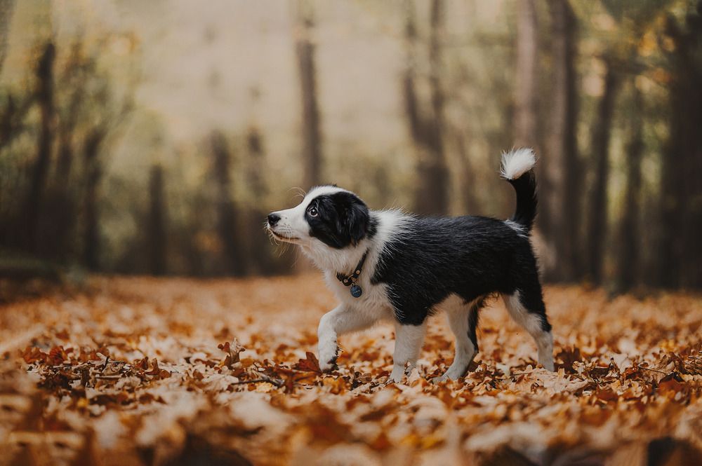 Photograph by Kate Entsi