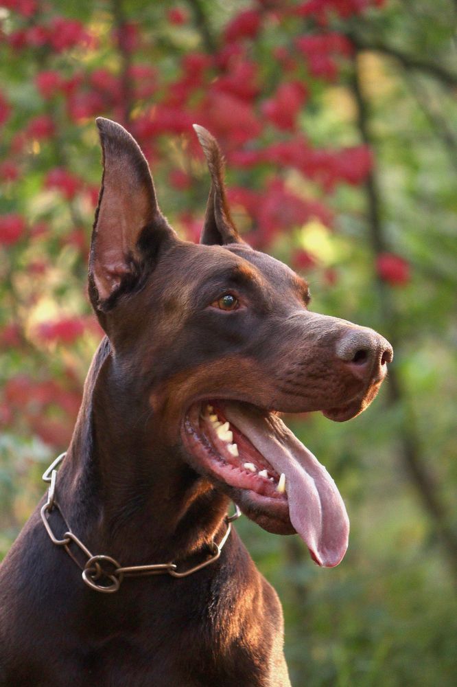 Photograph by Ольга