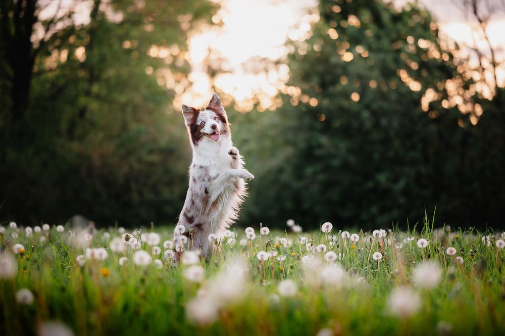 Photograph by Kate Entsi