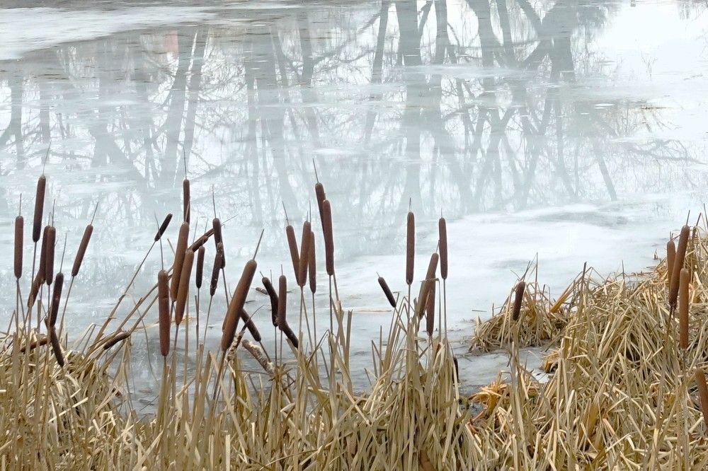 Photograph by jelena konickaja