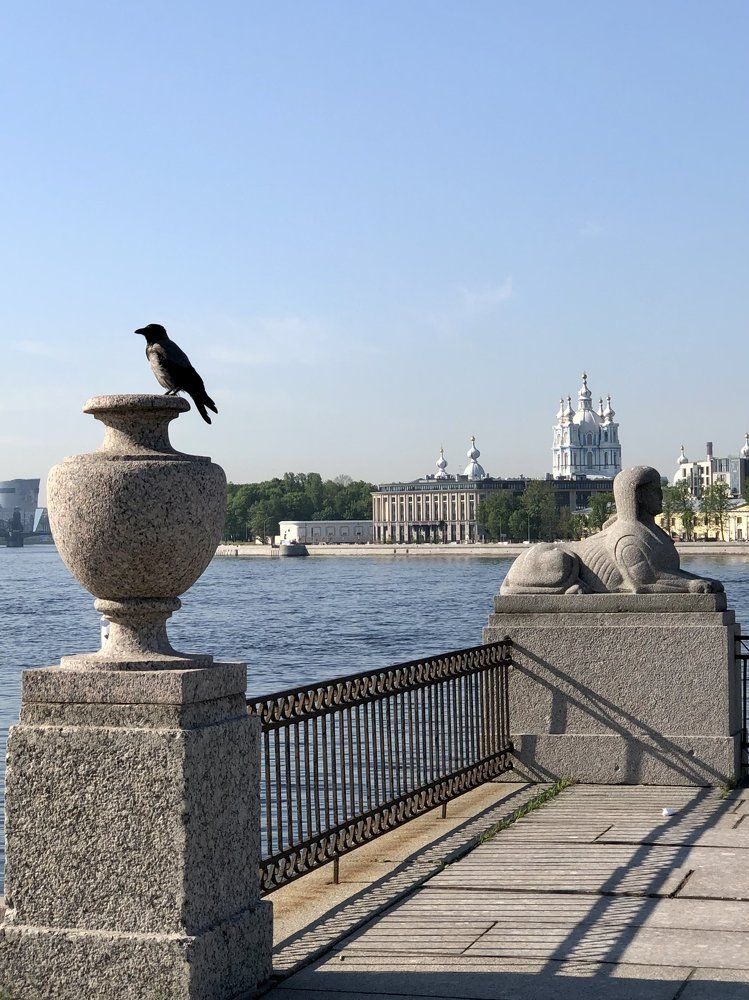 Photograph by Галина Пименова