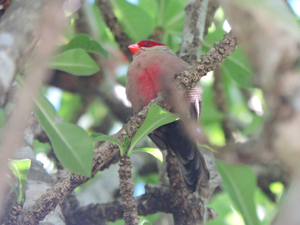 Photograph by Rodrigues Helena