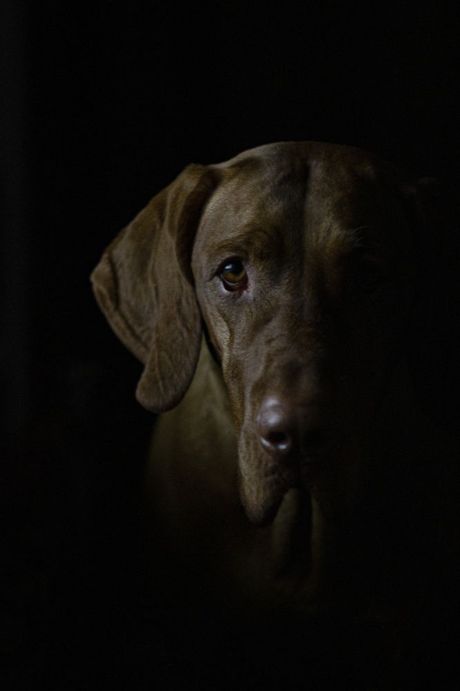 Низкий ключ