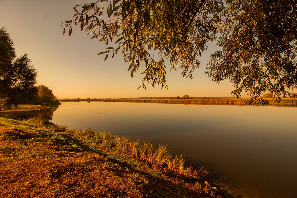 Photograph by Анна Крюкова