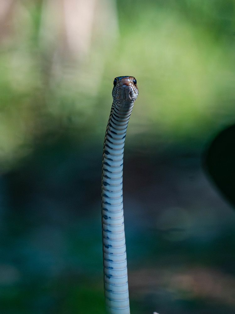 Photograph by Sahil K