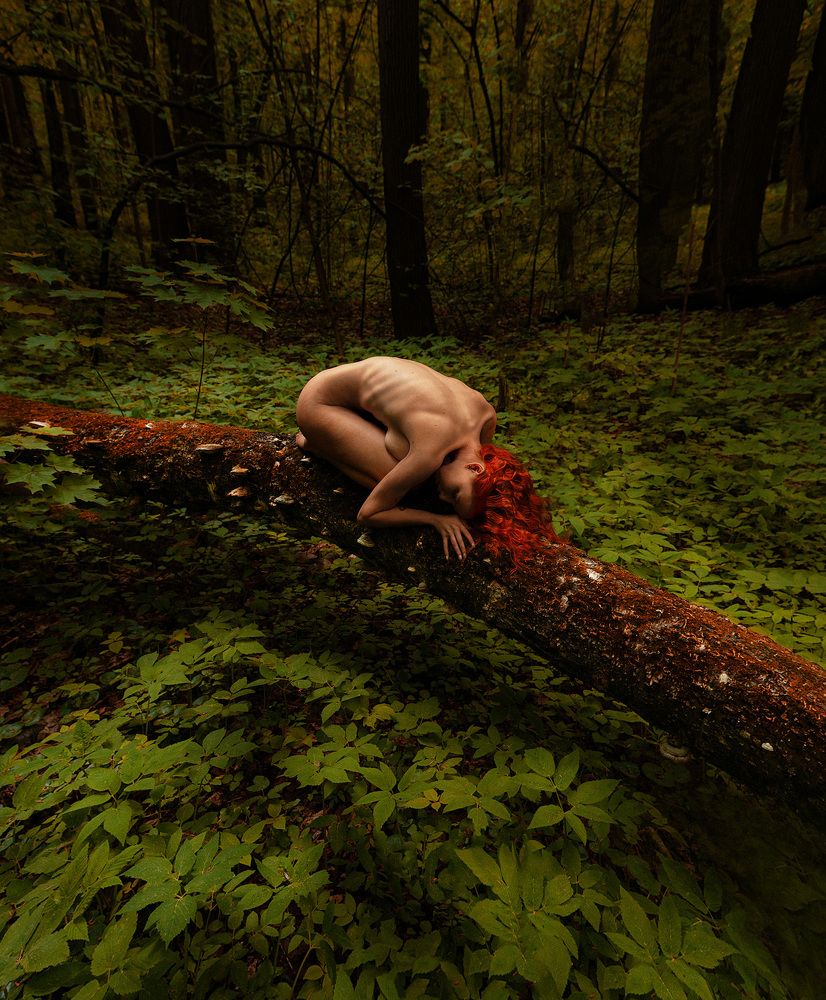 Photograph by Дарья Горбачева