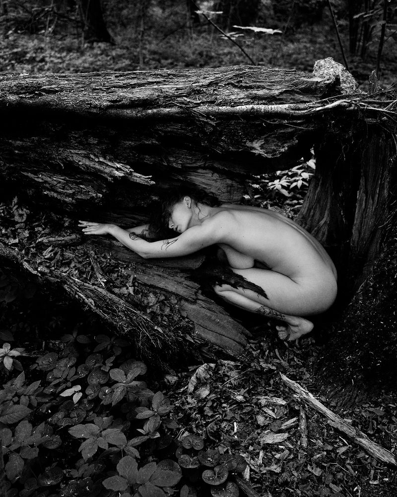 Photograph by Дарья Горбачева