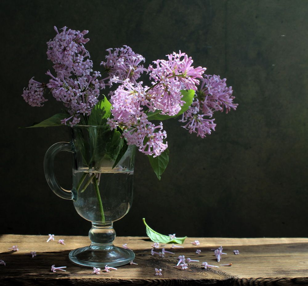 Photograph by Сироткина Нина