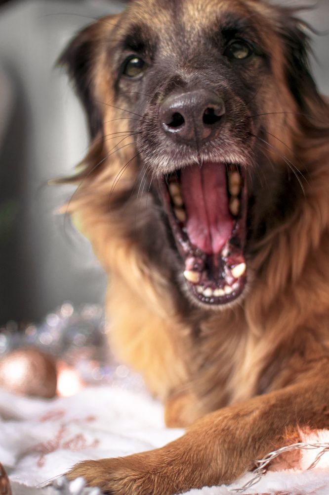 Photograph by Альфия Агзами