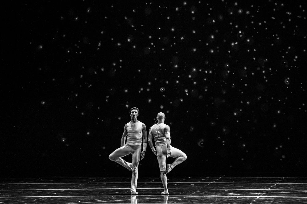 Фотография автора Сафонова Людмила