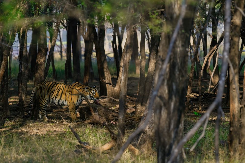 Photograph by Bidyut Saikia