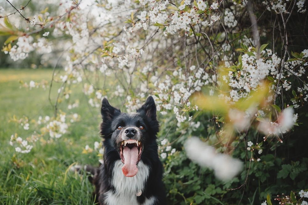 Photograph by Kate Entsi