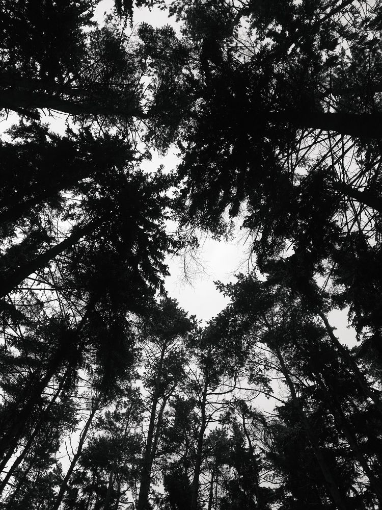 Photograph by Светлана Таркан