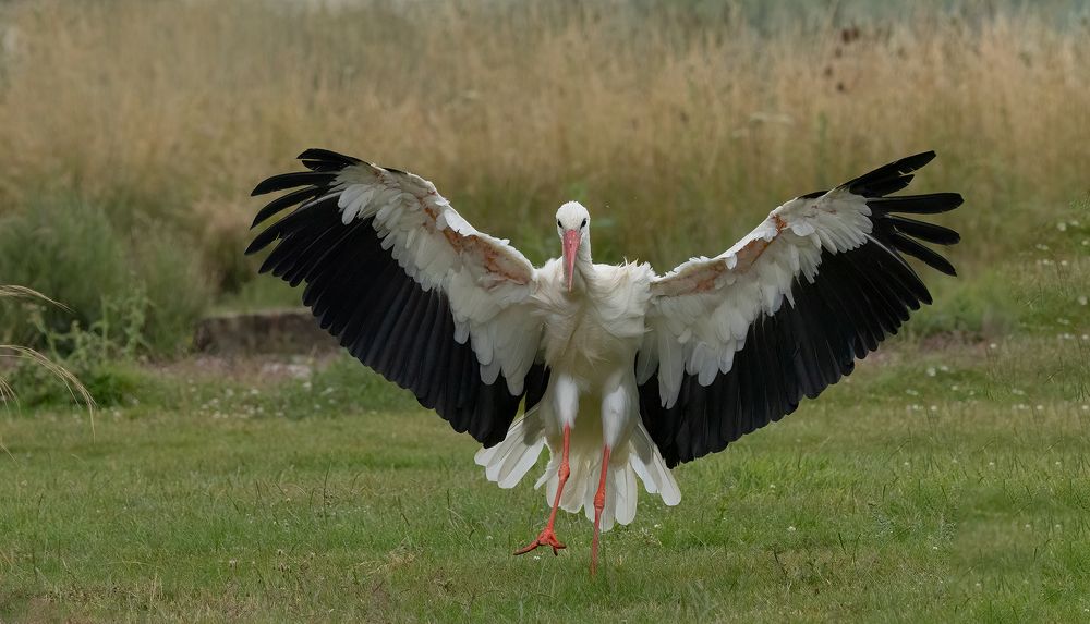 Photograph by MARIA KULA