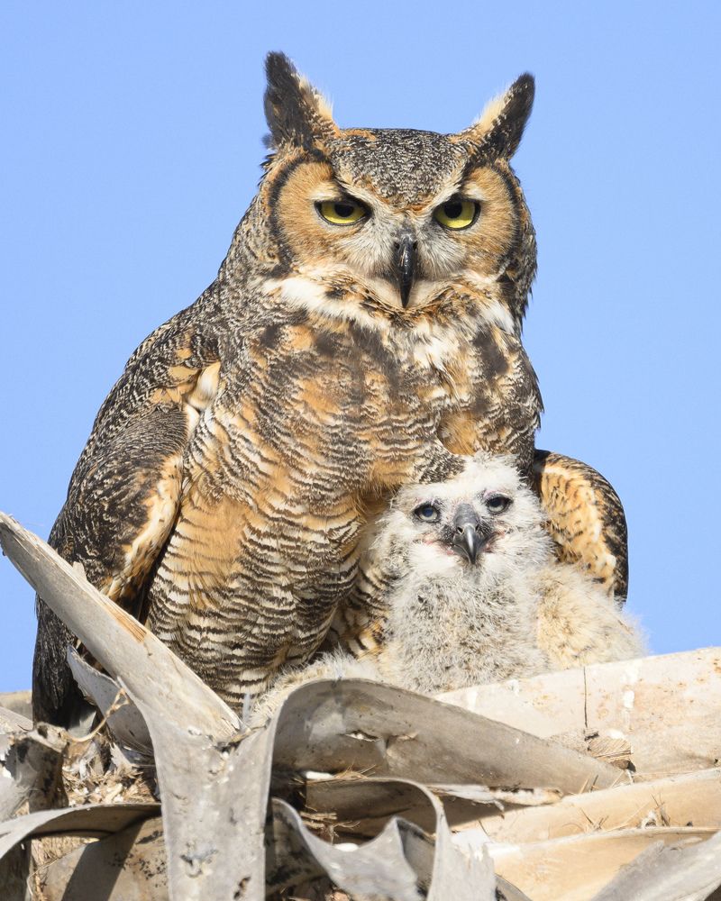 Photograph by Nancy Koch