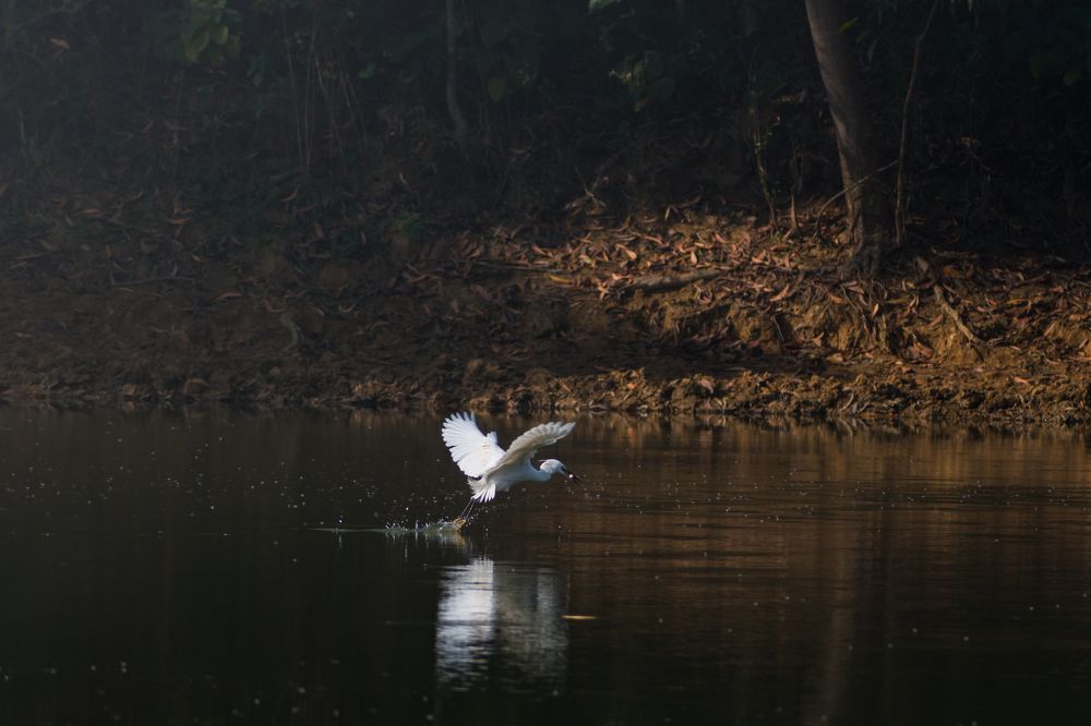 Photograph by Pritam Mandal