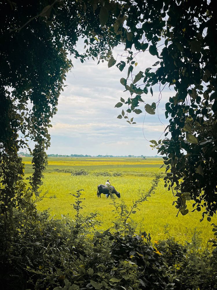 Photograph by ADARSH PATHAK