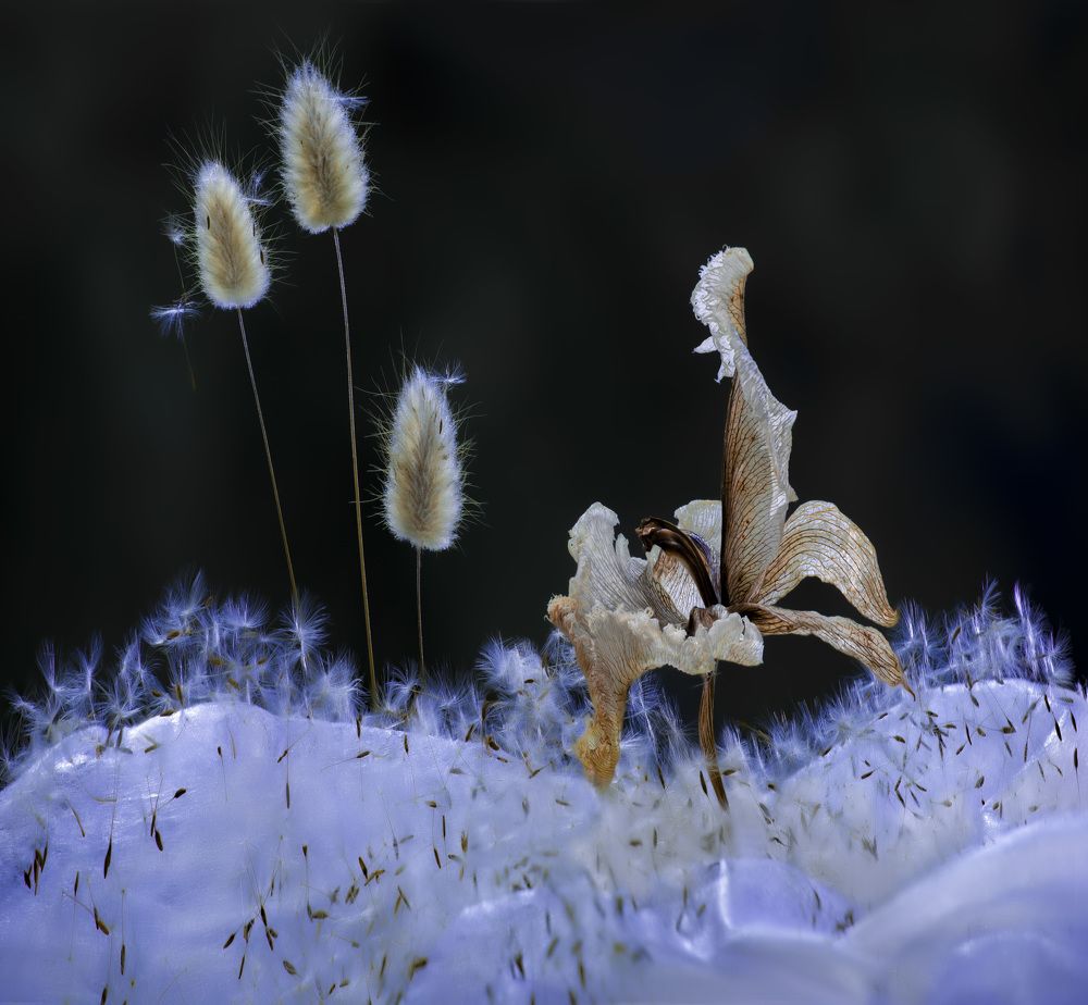 Фотография автора Черновол Валентин