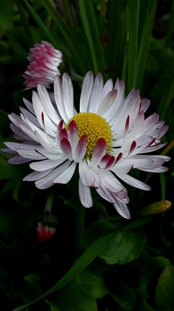 Photograph by Татьяна Солтан