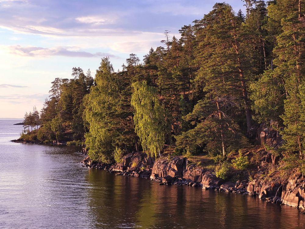 Фотография автора Никита Гребнев