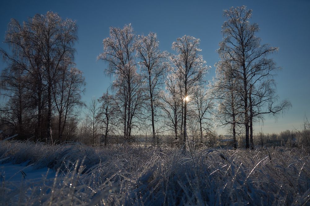 Под ледяным стеклом.