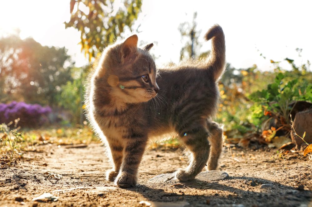 Photograph by Елена Лаптева